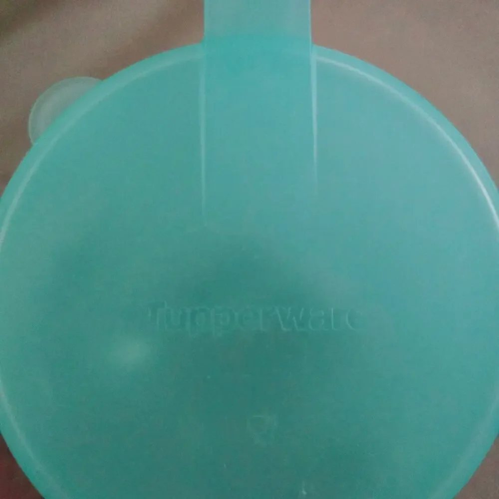 Tupperware Forget Me Not Hanging Onion/Vegetable Keeper Mint Blue Green